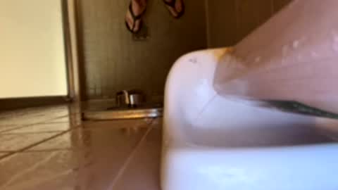 Swingingdong online show from 21, 3, 2026