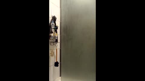 Sailorartemis online show from 15, 12, 2025