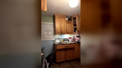 Sailorartemis online show from 9, 2, 2026