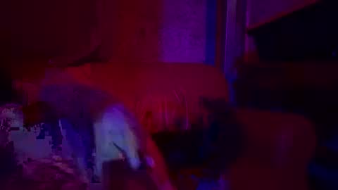 Snapshot of bodyyattiyatti chatting on 26, 4, 2026 Sailorartemis online show from 26, 4, 2026