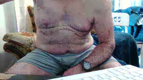 bolbil1 online show from 1, 2, 2026