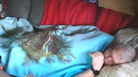 Bomber59potsdam online show from 28, 1, 2025