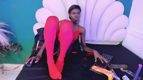 bonieklent online show from 28, 1, 2025