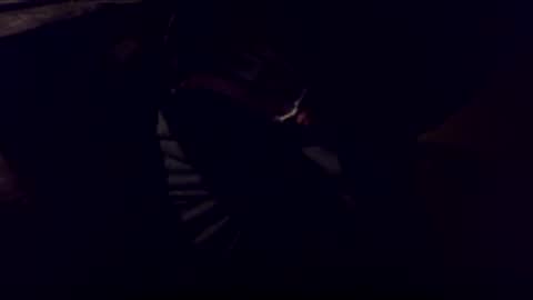 Bonkooooo online show from 8, 2, 2026