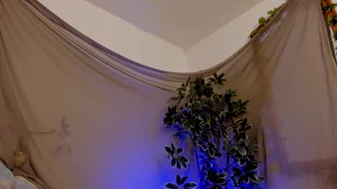   online show from 11, 10, 2025