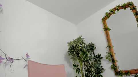   online show from 14, 10, 2025