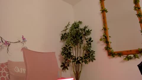   online show from 23, 10, 2025