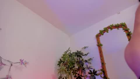   online show from 3, 2, 2026