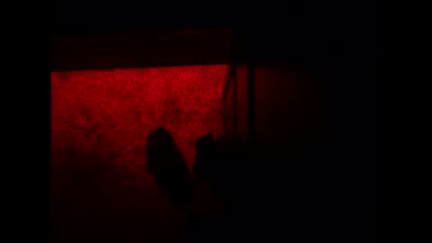 bonny8723 online show from 3, 11, 2025