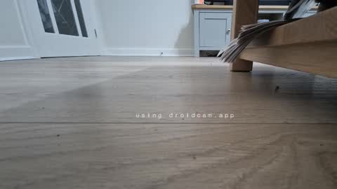 bonny8723 online show from 13, 1, 2026