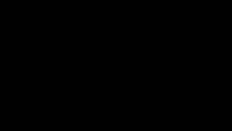 Soffy Brooks Independent model online show from 12, 12, 2024