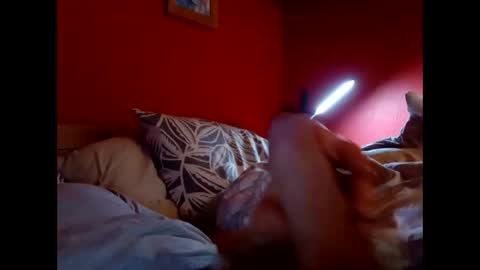 Snapshot of bonzoband chatting on 9, 2, 2026 bonzoband online show from 9, 2, 2026