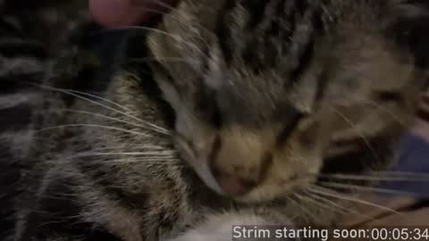 Booker Baxton online show from 11, 12, 2024