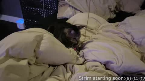 Booker Baxton online show from 17, 12, 2025