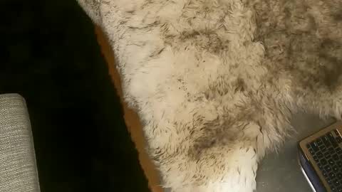 Snapshot of booty_andthe_beast chatting on 7, 3, 2025 Kim and Kooper online show from 7, 3, 2025