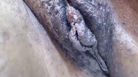 bootybounce4 online show from 9, 12, 2024