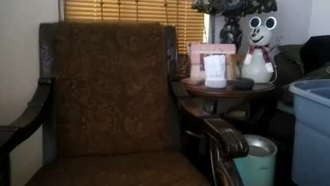 boredaf6678 online show from 25, 12, 2024