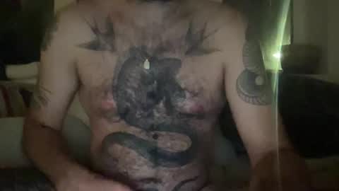 borrelnoot online show from 17, 9, 2025