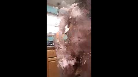 bossusaround online show from 11, 1, 2026