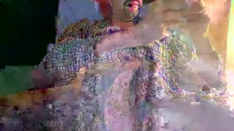 bowieboy online show from 2, 3, 2026