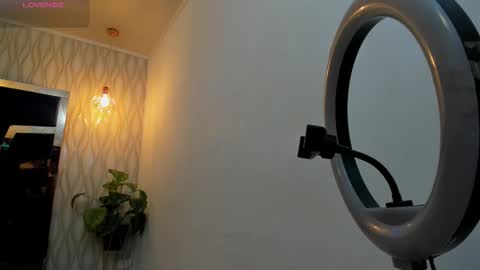 brad summer online show from 12, 1, 2026