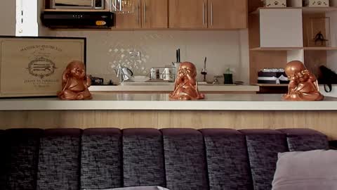 Snapshot of bradleymartin7 chatting on 11, 1, 2025 bradleymartin7 online show from 11, 1, 2025