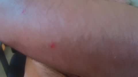 brainrrawtt online show from 11, 3, 2025