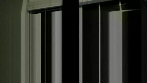 brandon255225 online show from 14, 2, 2026