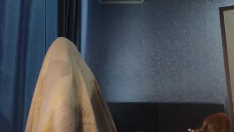 Belle  online show from 8, 11, 2025