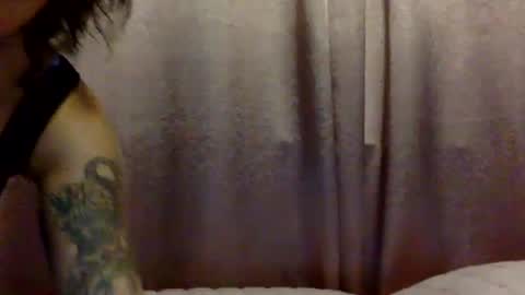brasilierabrat online show from 11, 6, 2026