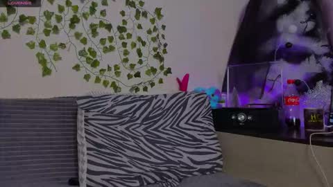 Johny Bravo online show from 13, 1, 2026