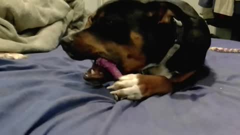 breeandgeebondage303864 online show from 16, 2, 2025