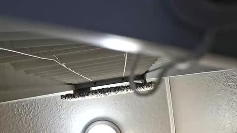 Snapshot of breeze316 chatting on 6, 11, 2025 breeze316 online show from 6, 11, 2025