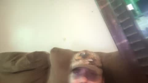 Snapshot of brennenangelle24atgmailcom chatting on 18, 7, 2026 brennenangelle24atgmailcom online show from 18, 7, 2026