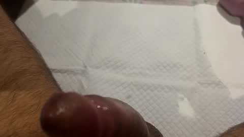 Snapshot of brenno95 chatting on 21, 2, 2026 brenno95 online show from 21, 2, 2026