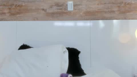 brianna_beltran online show from 12, 4, 2026