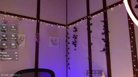 Snapshot of brie_cheese1 chatting on 12, 2, 2025 Brie Ill be away November 2829 and 30. See u on Sunday for more fun online show from 12, 2, 2025