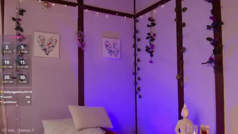 Snapshot of brie_cheese1 chatting on 19, 2, 2025 Brie Ill be away November 2829 and 30. See u on Sunday for more fun online show from 19, 2, 2025