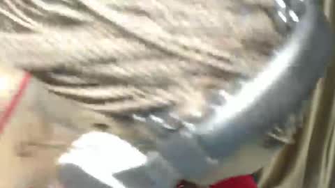 Snapshot of brightebony chatting on 7, 12, 2024 Bright online show from 7, 12, 2024