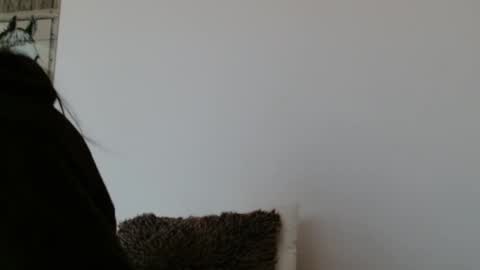 brigittebia777 online show from 24, 10, 2025