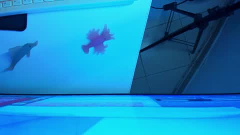 Snapshot of britanny_jones1 chatting on 8, 7, 2026 B R I T A N N Y online show from 8, 7, 2026