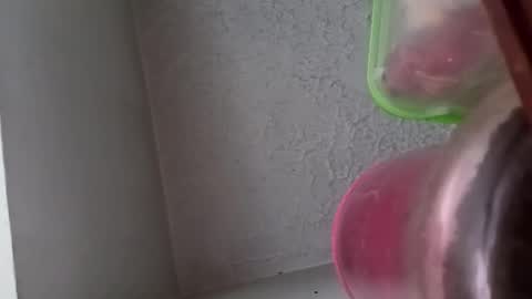 Brittany  online show from 28, 10, 2025