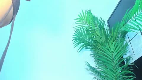 BRIYIT     online show from 10, 1, 2025