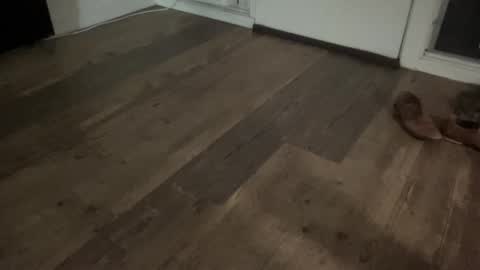 Broke Hung College Guy online show from 13, 2, 2026