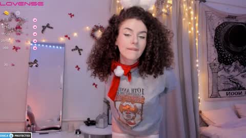 Snapshot of brookchills chatting on 26, 12, 2024 Brook Help me collect 100 reactions online show from 26, 12, 2024