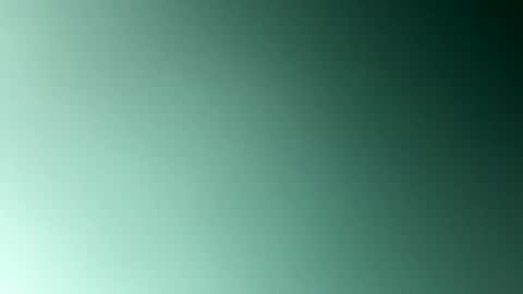 EtherealLilac online show from 5, 1, 2025