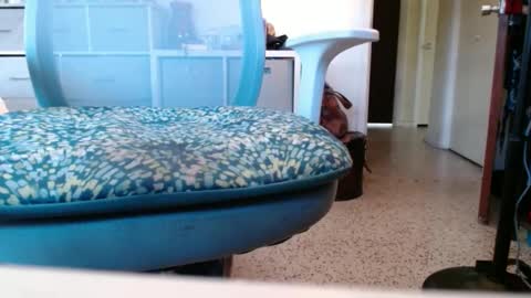 bruceb124u online show from 26, 9, 2025