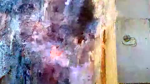 bruno0776 online show from 4, 3, 2025