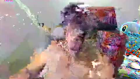 Sunshine online show from 16, 4, 2026