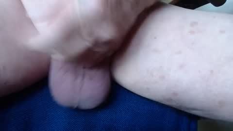 budddgardener online show from 2, 12, 2024